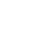 Interface da IA Neofeet ID